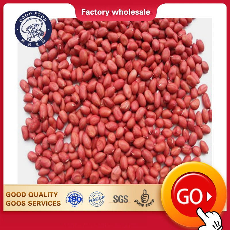 Dried Kernel Peanuts Groundnut Raw/Fresh Red Skin Arachid for Sale Chinese Factory