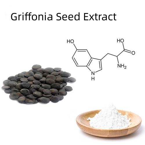 Hot Sale Herbal 10%~99% 5-Htp Powder Griffonia Seed Extract in Bulk