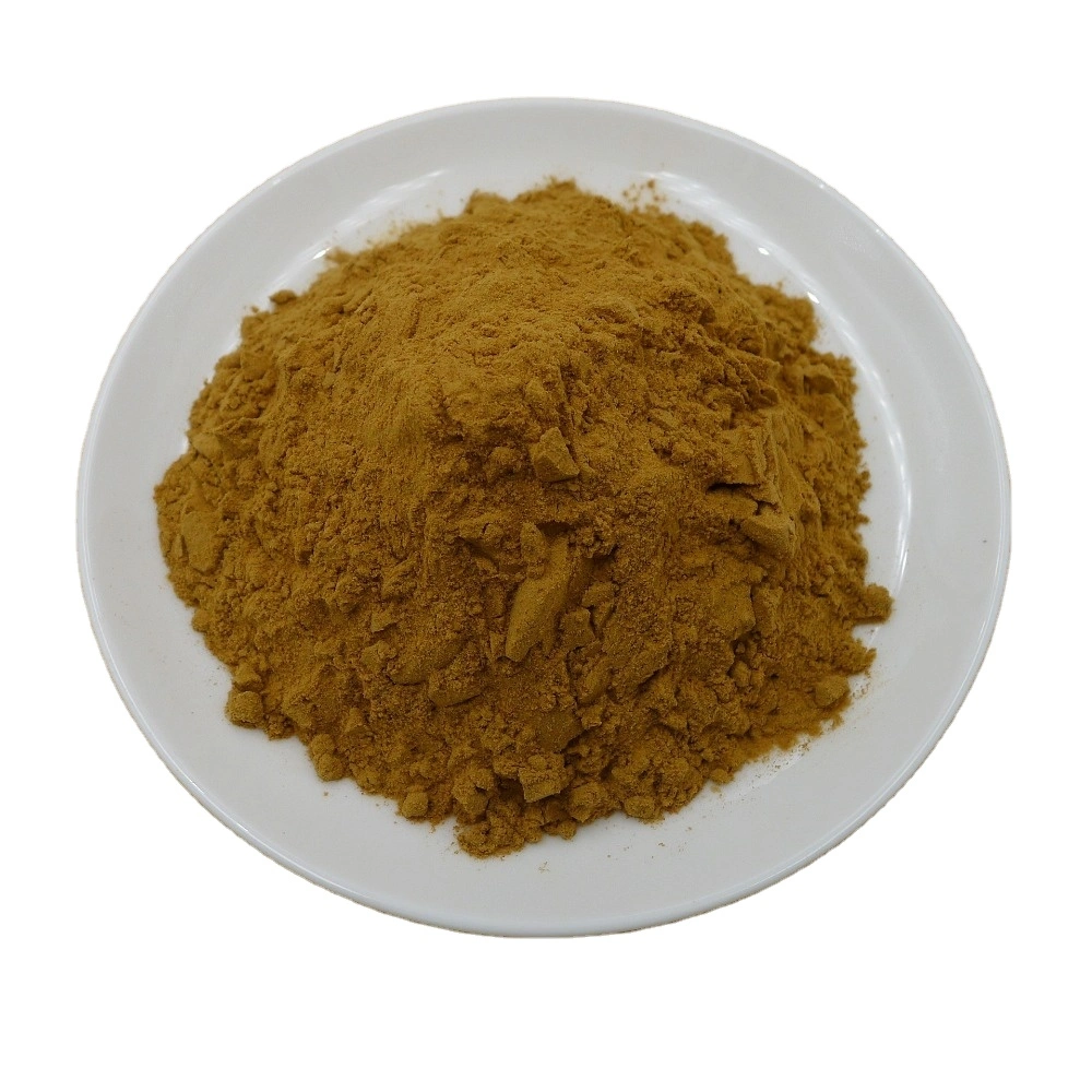 Allium Odorum Extract Powder 10: 1 Leek Seed P. E.