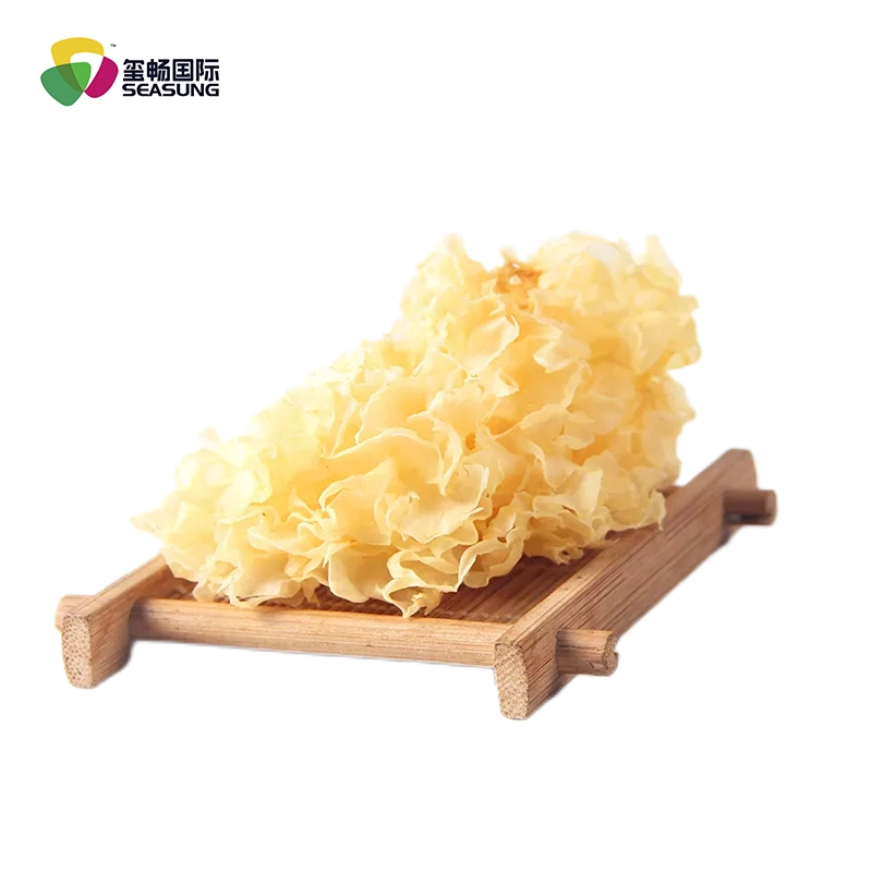 High Quality Fresh Organic White Snow Fungus Tremella Mushrooms for Mushroom Dishes