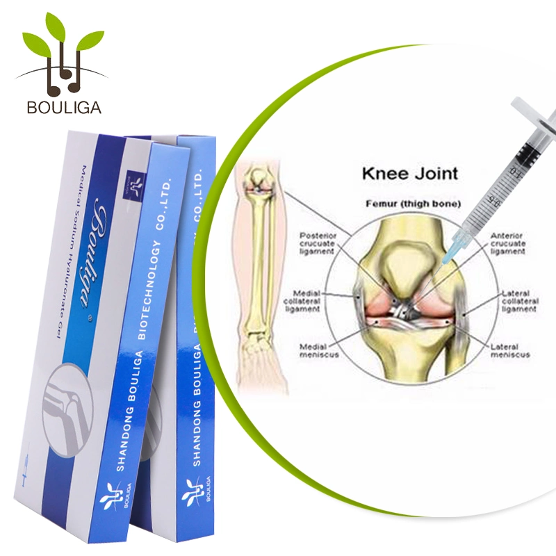 Bouliga relleno de gel de ácido hialurónico inyectable inyecciones para osteoartritis de rodilla