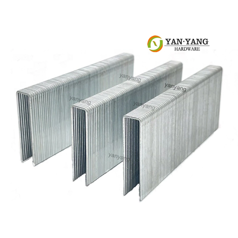 Fábrica de Yanyang Tapicería personalizada Muebles galvanizados grapas N838 Industria duradera Grapas