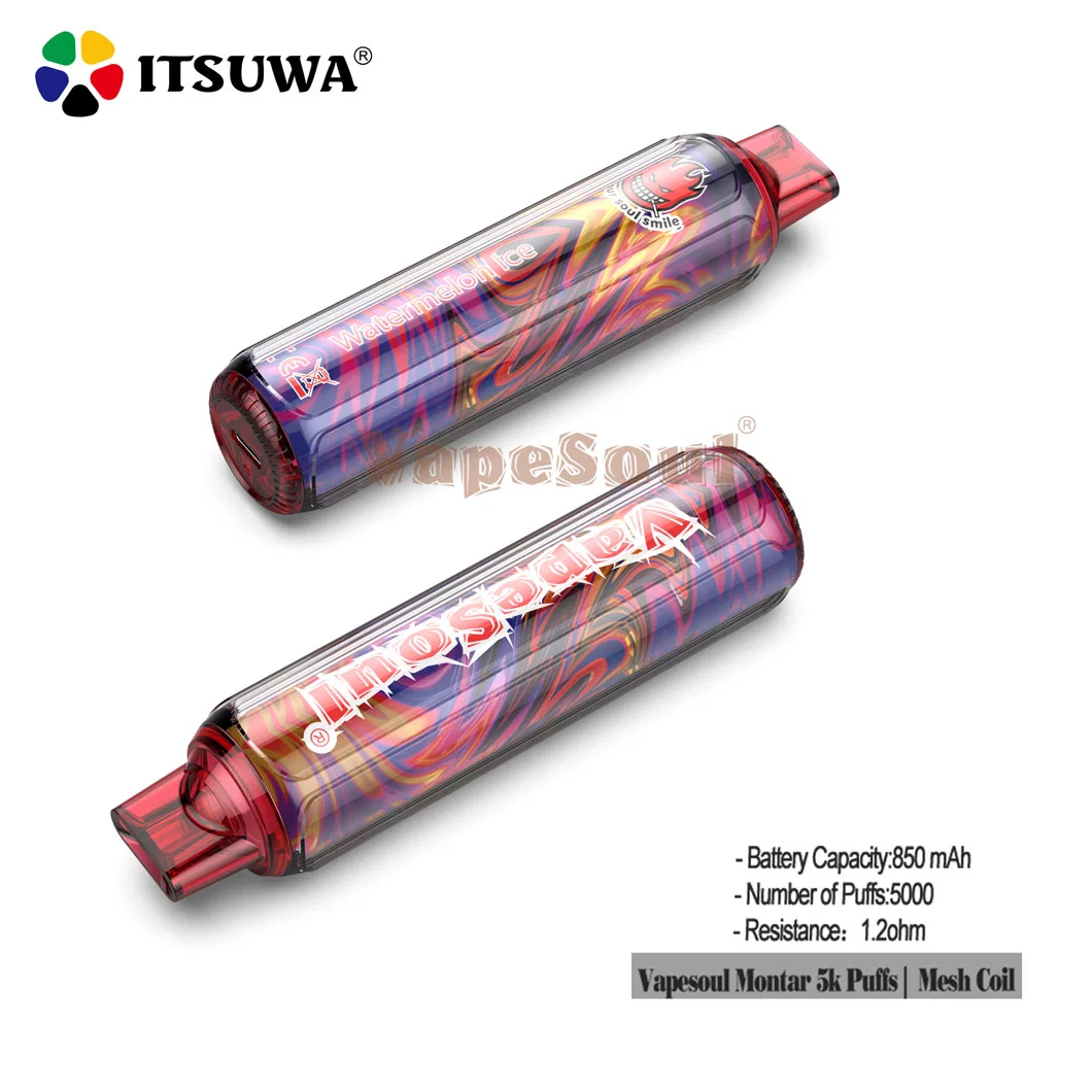 Vapesoul Cheap Bc5000 Puff Can Be Customized Electronic Atomizer Hookah Pen Type-C Interface Cheap Electronic Cigarette