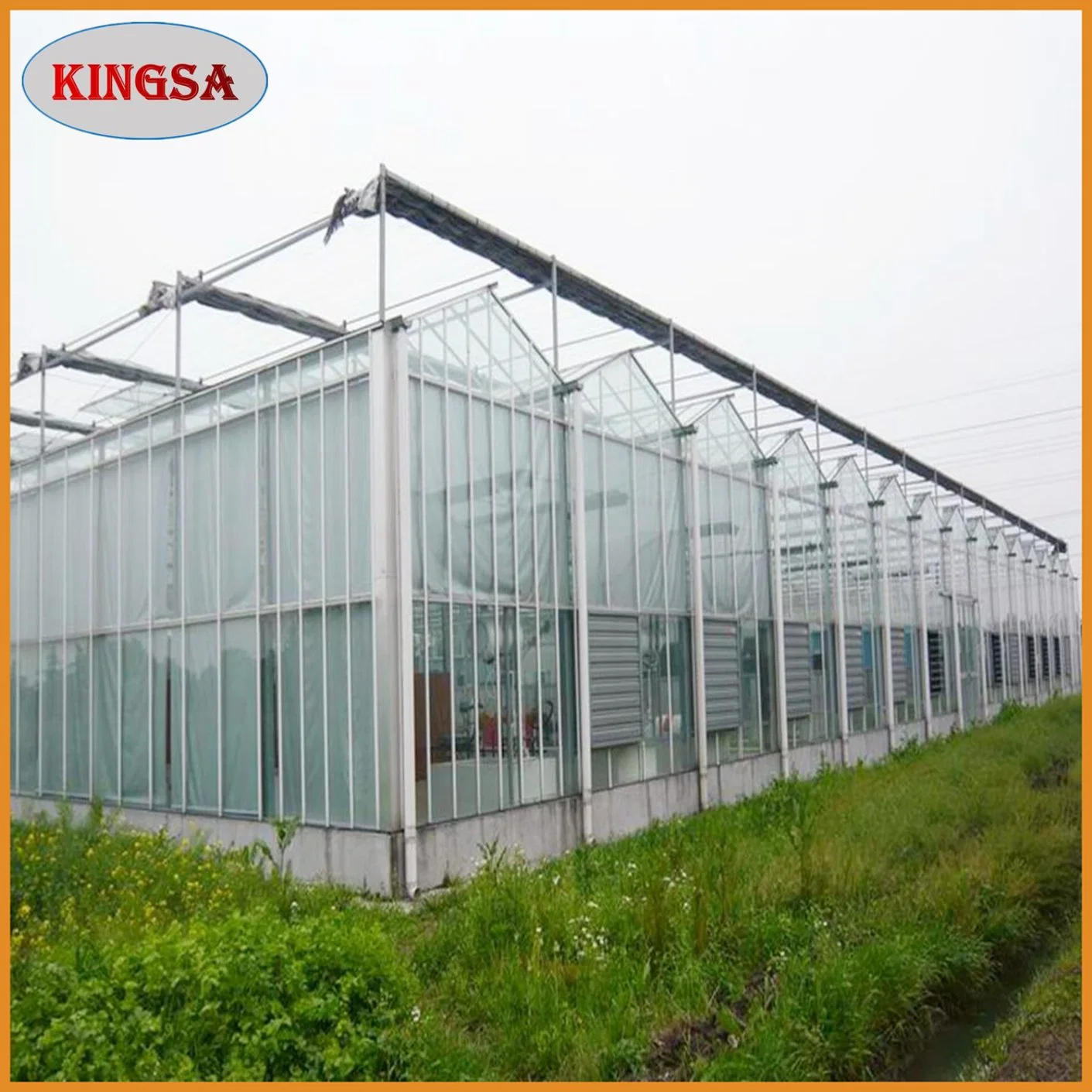 Hoja de PC personalizada Agricultural Multi Span Greenhouses Turnkey Project con Sistema hidropónico para la fruta