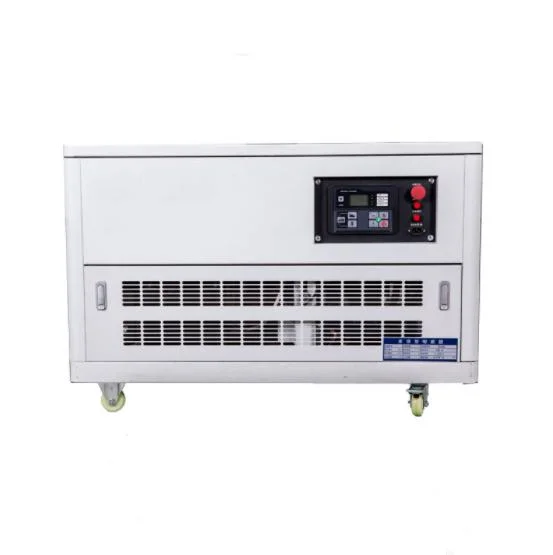 180kVA/200kw Generator Gasoline Natural Gas Multi-Fuel Generator Silent Emergency Generator