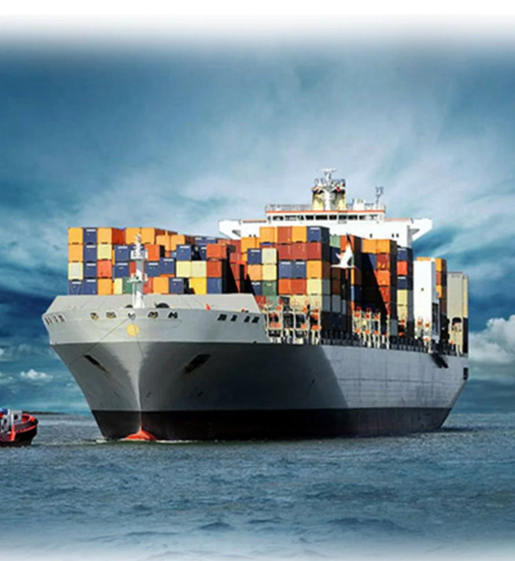 Efficient LCL FCL Shipping Container Sea Freight Forwarder From China to Chile