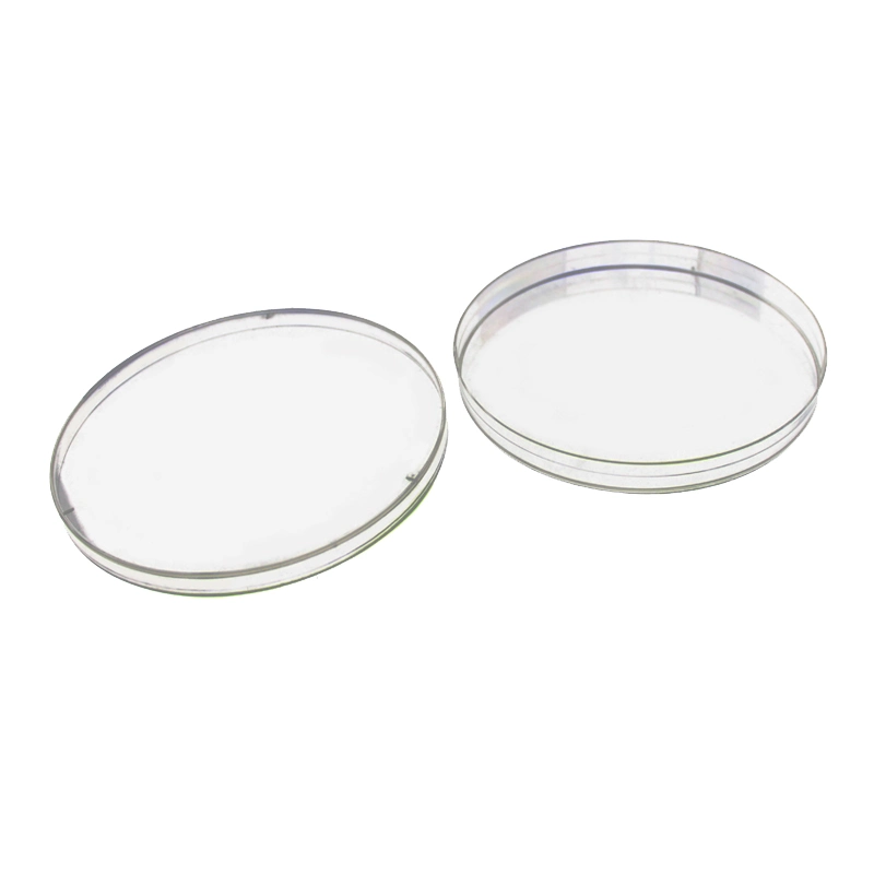 Disposable PS 150mm 150*15mm Sterile Plastic Petri Dish