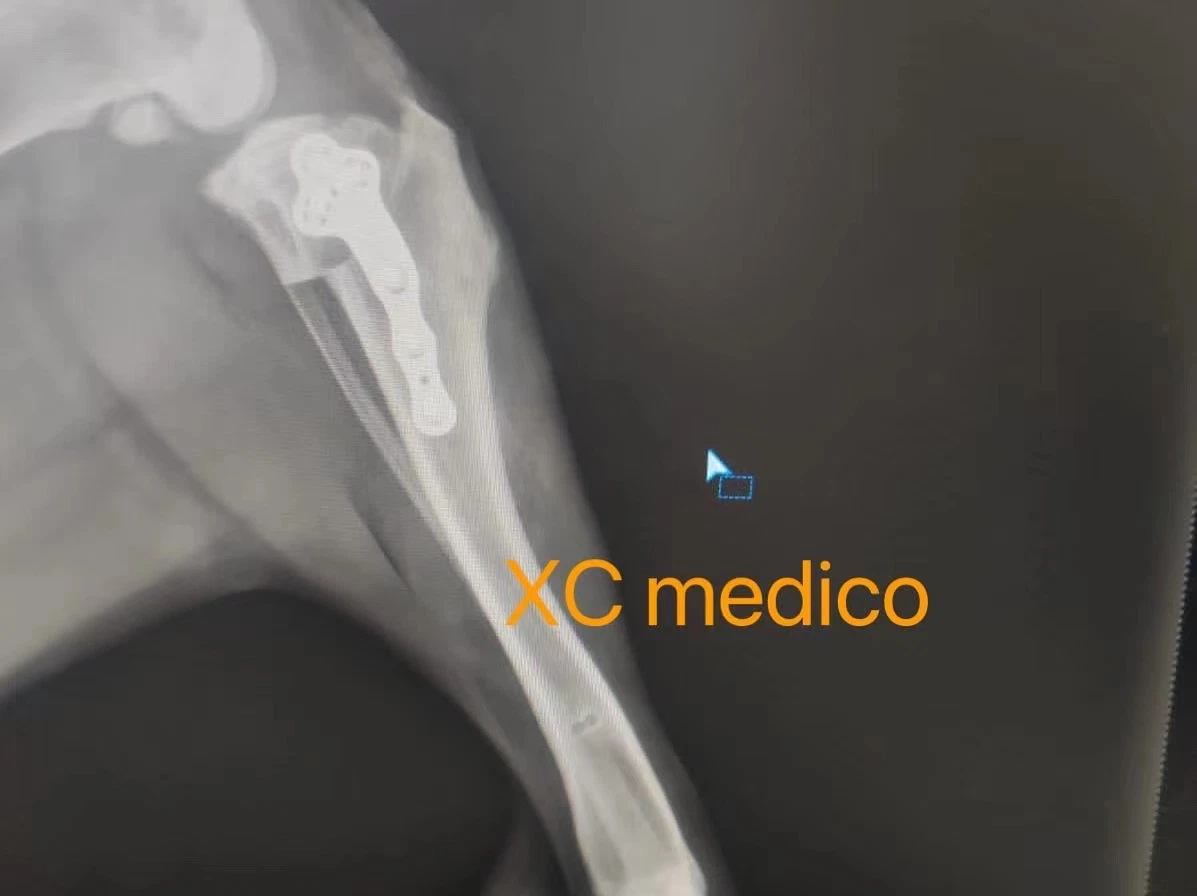 Katze und Hund Knochen TPLO Platten Orthopädische Vet Implantat klein Tierchirurgische Tierarzneimittel