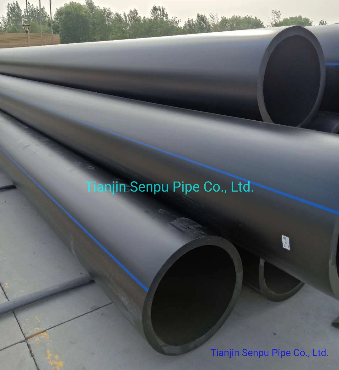 High quality/High cost performance  and Reasonable Price PE Pipe for Water Supply