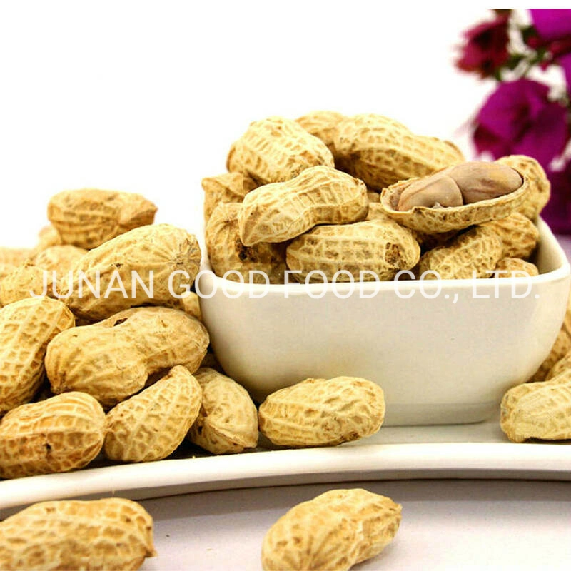 High quality/High cost performance  Peanut Hulls for Export