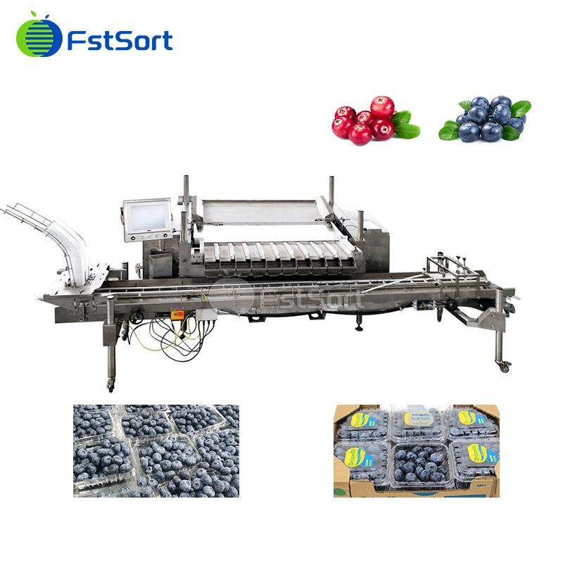 Blueberry Packer Cranberries Packaging Machine Black Currant Processing Machine