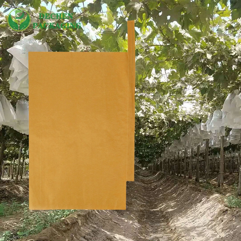 Agriculture PP Woven Grape Mango Bag UV Fruit Protection Bags