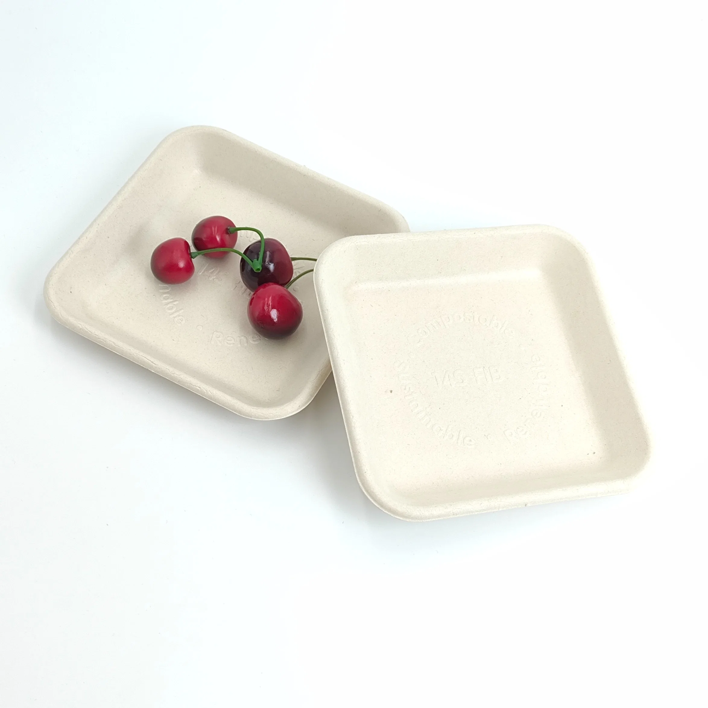 Disposable Sugarcane Bagasse Pulp Tableware Compostable Custom Food Tray