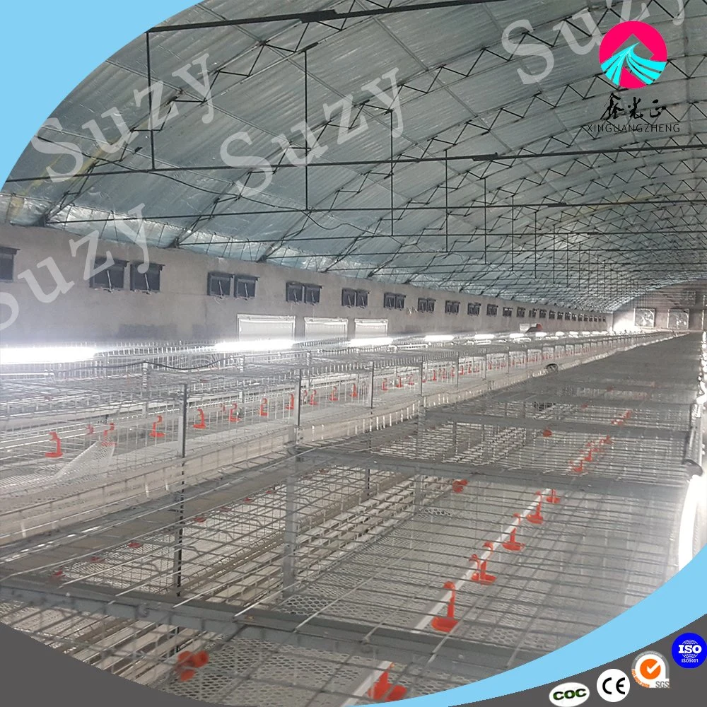 Good Price Automatic Poultry Farm Equipment Layer Chicken Battery Cage for Sale