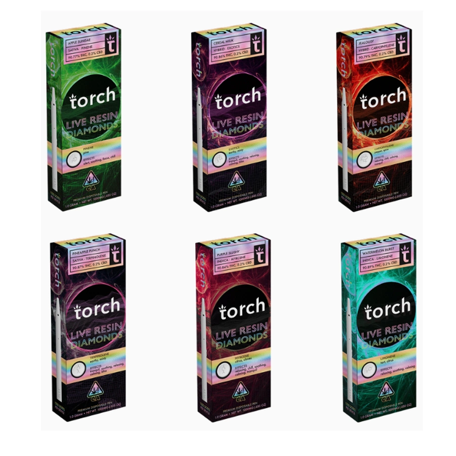 Torch 1.0/2.0gram Empty Vape Live Resin Type-C Disposable E Cigarette