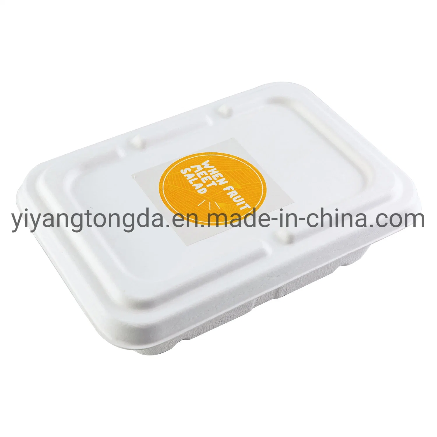 Eco Friendly Biodegradable Disposable Pulp Fast Food Container Disposable Microwave Food Container with Lid