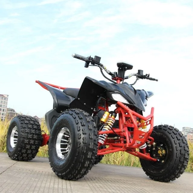 Fabricants personnalisé Moyen 1500W 1800W Beach Endless ATV