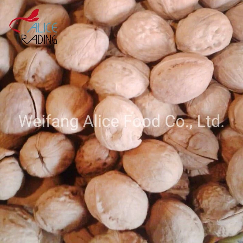 New Crop Export Standard Halal Kosher Certificated China Wholesale/Supplier Paper Shell Walnut