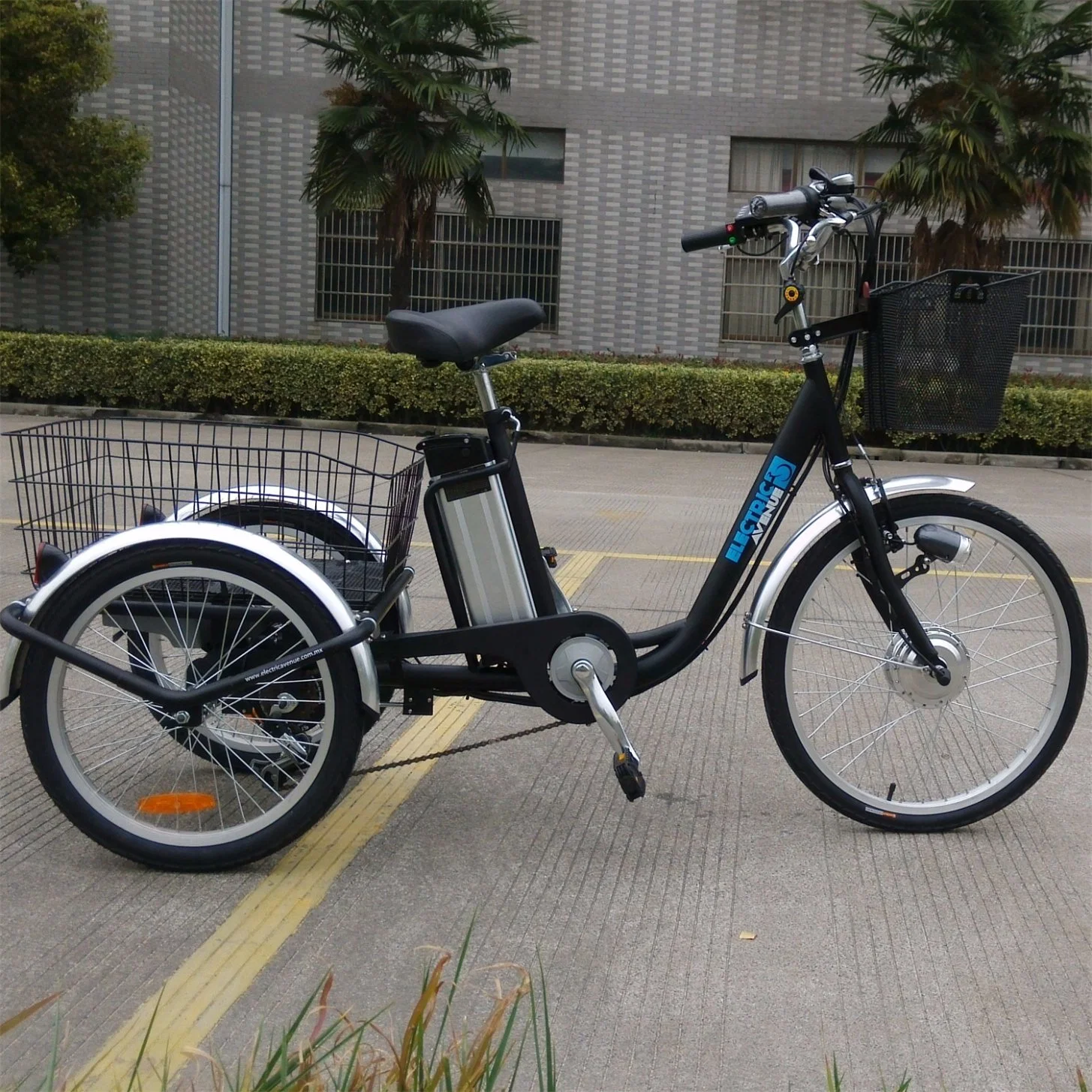 Big 3 Wheel Bicycle with Rear Basket for Elder