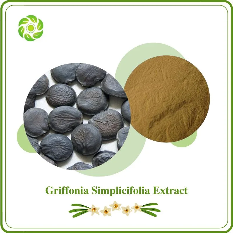 World Well-Being Biotech Natural Griffonia Simplicifolia Extract with 10-99% 5-Hydroxytryptophan for Supplement