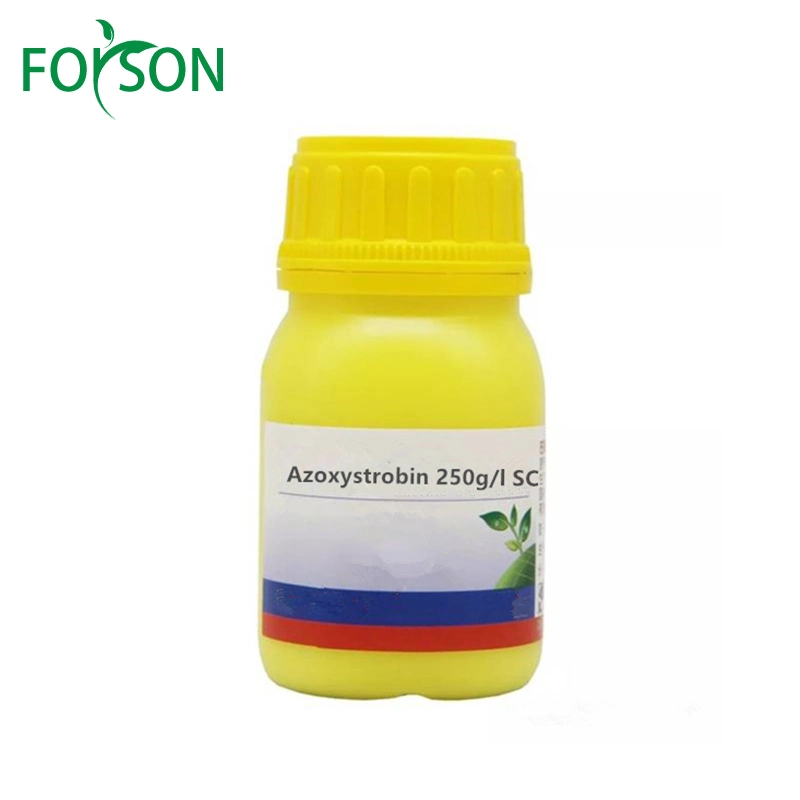 Powerful Combination of Azoxystrobin and Difenoconazole for Plant Health