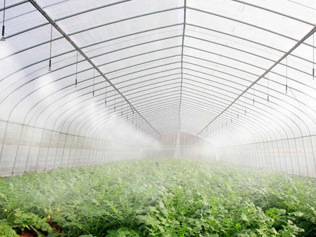 Hot Galvanized Pipe Poly Carbonate Greenhouse with Shading and Automatic Irrigation System