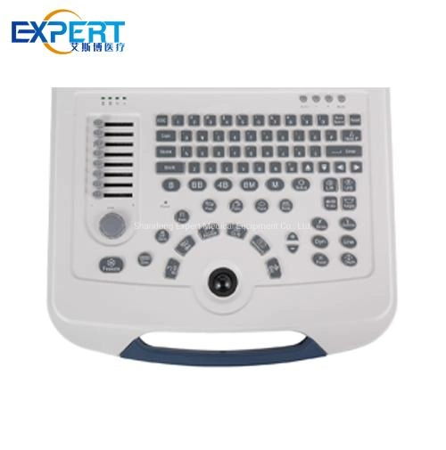 Veterinarian Black and White Super B Scan Ophthalmic Digital Ultrasound Low Price Medical High Intensity Focused Equipment