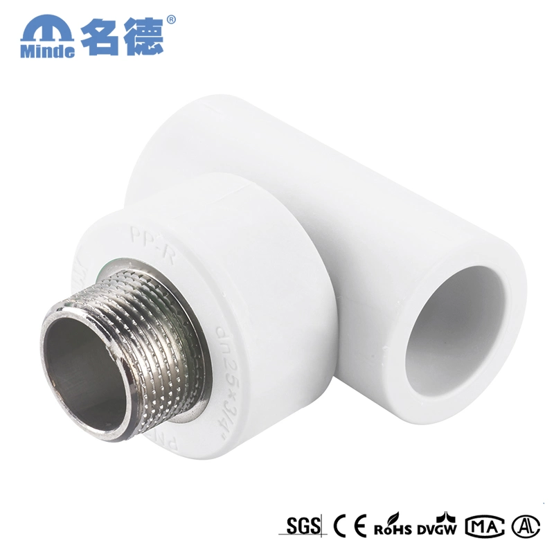 Plumbing PPR Male Coupling with Brass Copper Threaded Coupling Socket Fittings