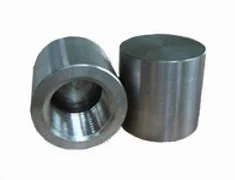 Customized Stainless Steel Pipe Fitting Coupling