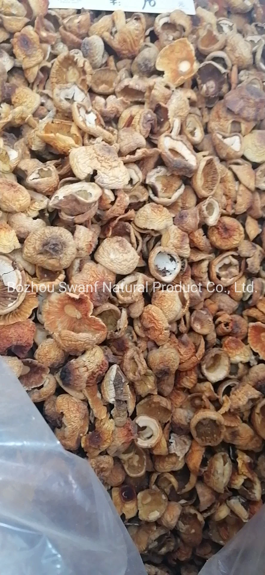 Wholesale/Supplier Dried Raw Natural Almond Mushrooms Agaricus Blazei Mushroom for Sale