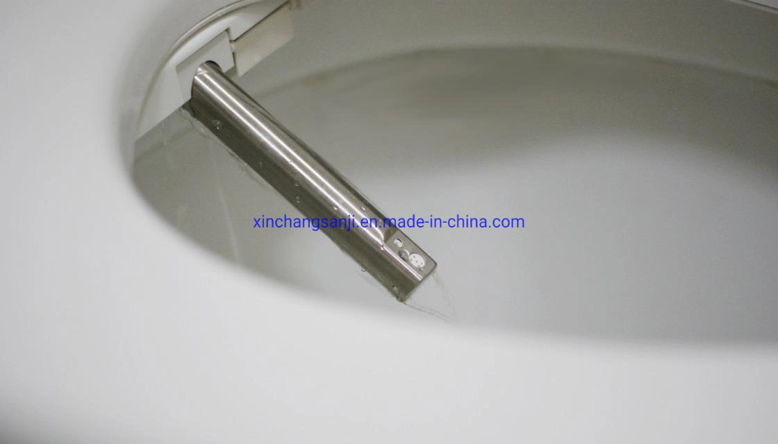 OEM Stainless Steel Nozzle for Toilet Bowl / Automatic Toilet Cover