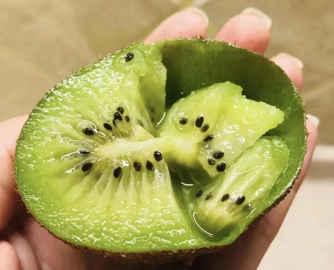 Fresh Hayward Kiwi/Qinmei Kiwi Fruit for Sale