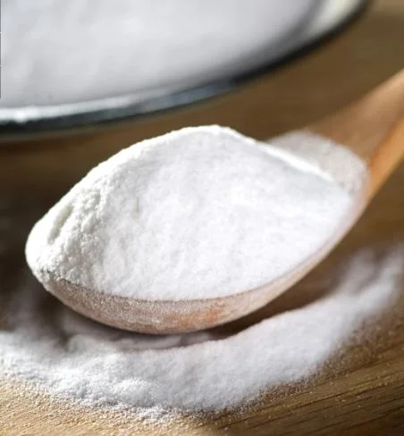 Le Bicarbonate de sodium en poudre de qualité alimentaire du bicarbonate de soude CAS 144-55-8