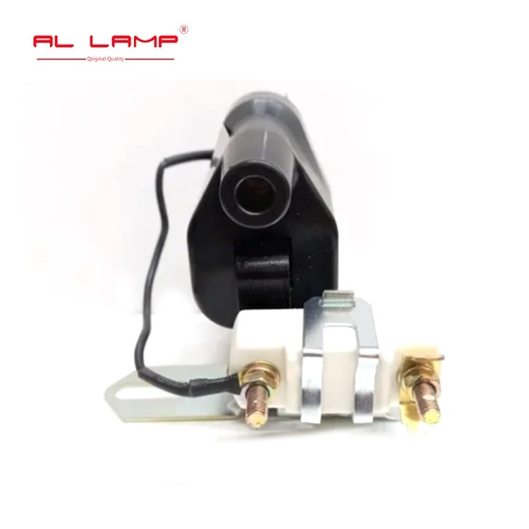 Auto Parts High Quality Ignition Coil for Car OEM Mic-2000