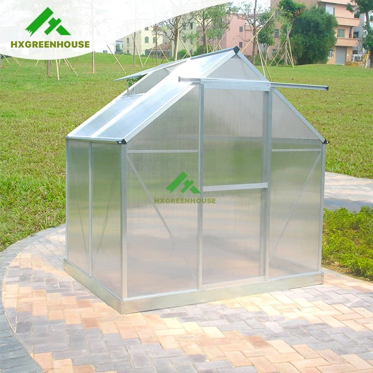 China pas cher la feuille d'hiver préfabriqués PC Green House Hobby luxe petit jardin en plastique polycarbonate serre pour la vente