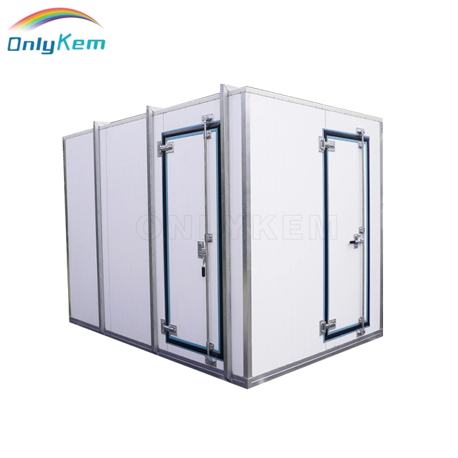 Customized 20 Tons Fruit and Vegetable Cold Storage Room