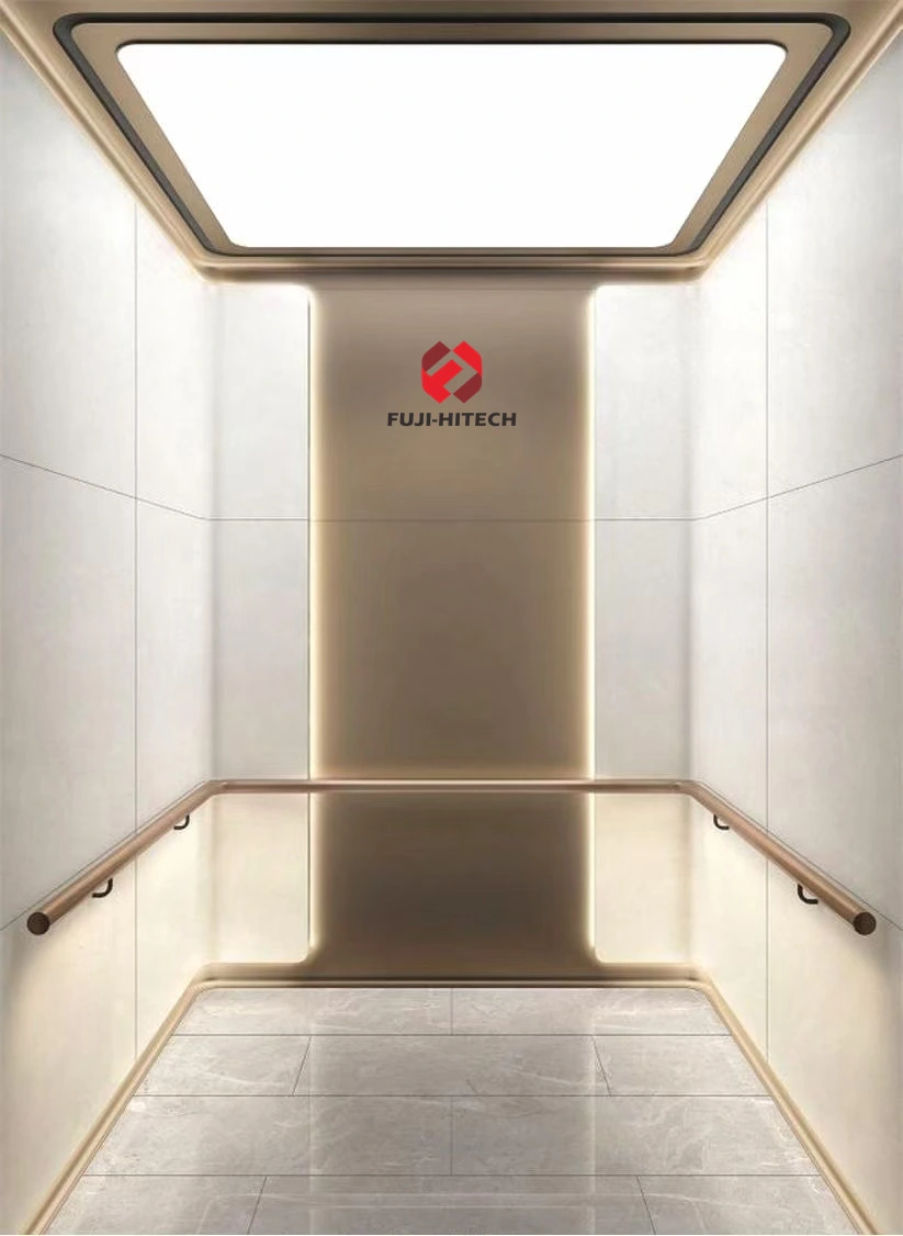 Passenger Lift Indoor Residential Passenger Elevator Home Lift with Steel Structure