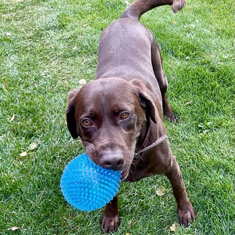 Knot Ball Bite Resistant Dog Toy Christmas Pet Bite Resistant Ball