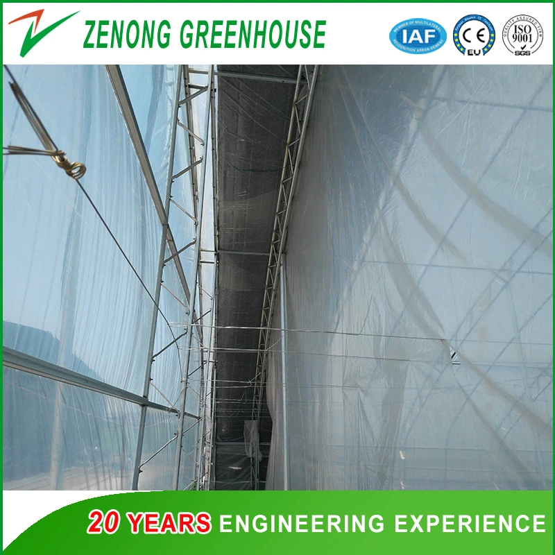 Prefabricated Low Cost Plastic Film Covered Sunlight Greenhouse for Tomato/Cucumber/Egg Plant