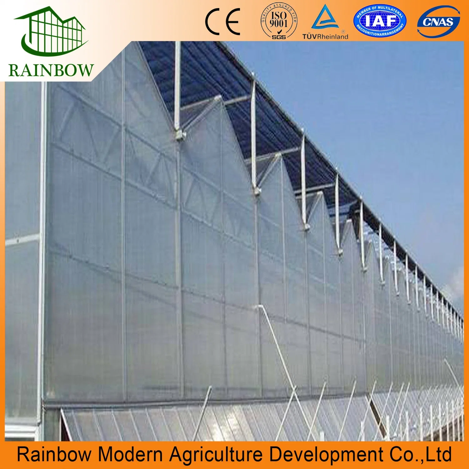 Chinese Agriculture PC Sheet Flower Greenhouse