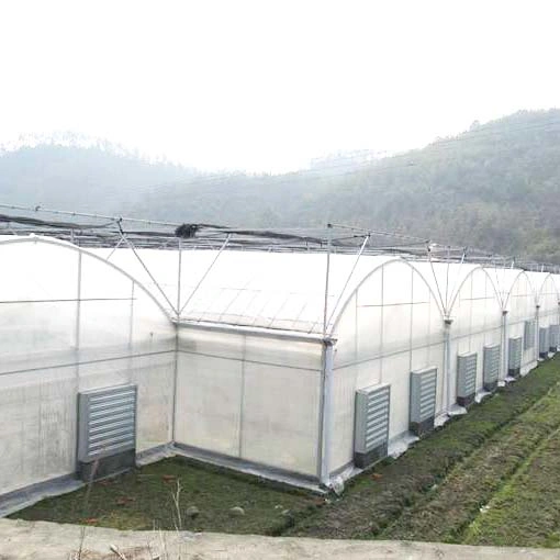 Manufacture Hot DIP Galvanized Steel Hydroponics Vegetables Warm House Greenhouse with Shading System