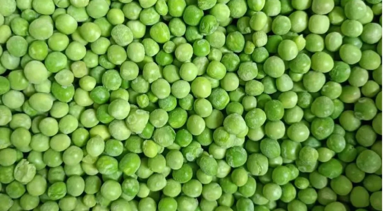 Frozen Green Peas, Fresh Frozen Vegetables From China