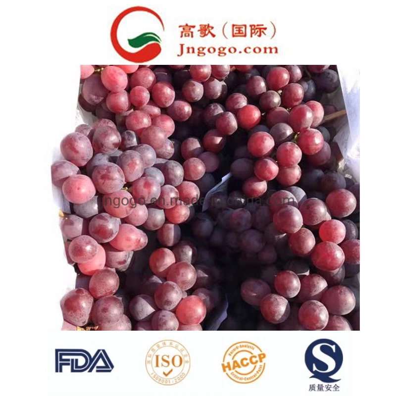 Uvas frescas de qualidade super frescos frutos Crimson para exportar