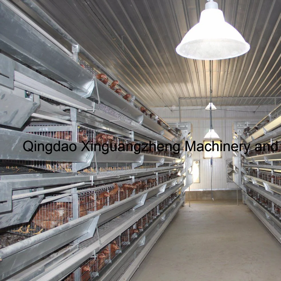 High quality/High cost performance  Automatic Cheap Chicken Cage for Nigerial Poultry Farm