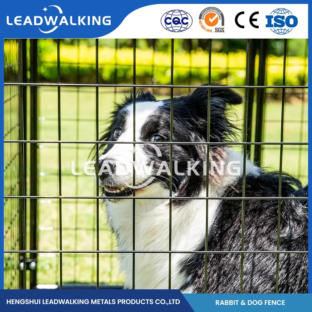 Portátil Leadwalking valla PERRO PERRO galvanizado al por mayor de fabricación de la perrera de la jaula de alta calidad Wear-Resistant China valla valla perro