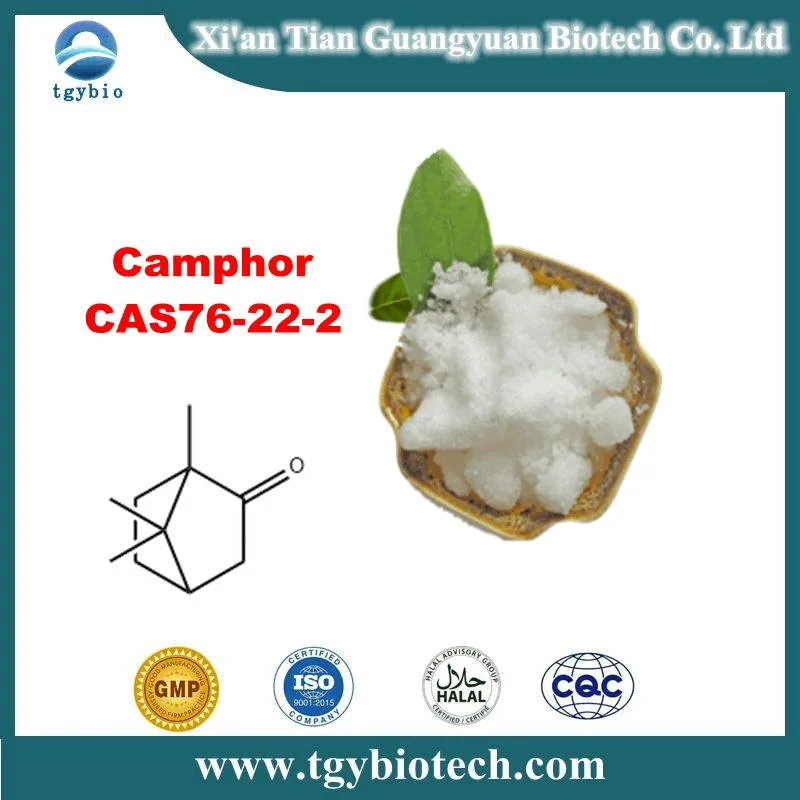 Cosmetic Grade CAS76-22-2 Camphor Powder