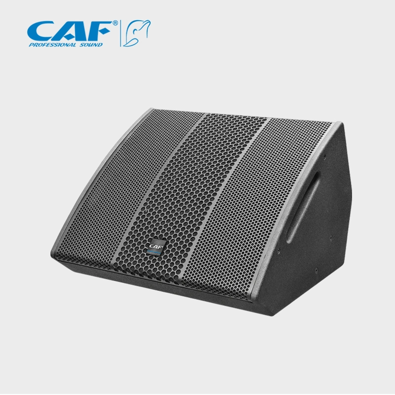 Altavoz de audio CAF PRO Full Rang