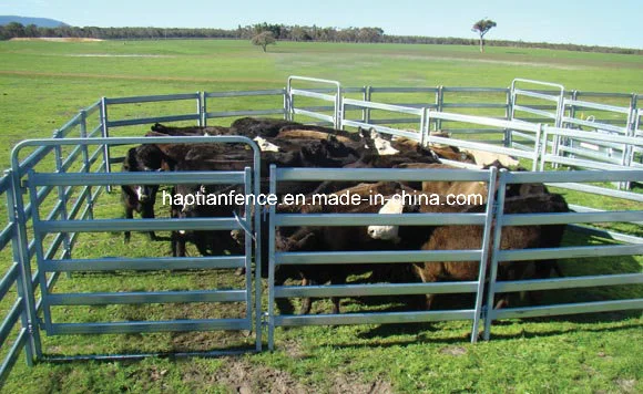 80X40mm Oval Pipe Cattle Fence Livestock Cattle Panel