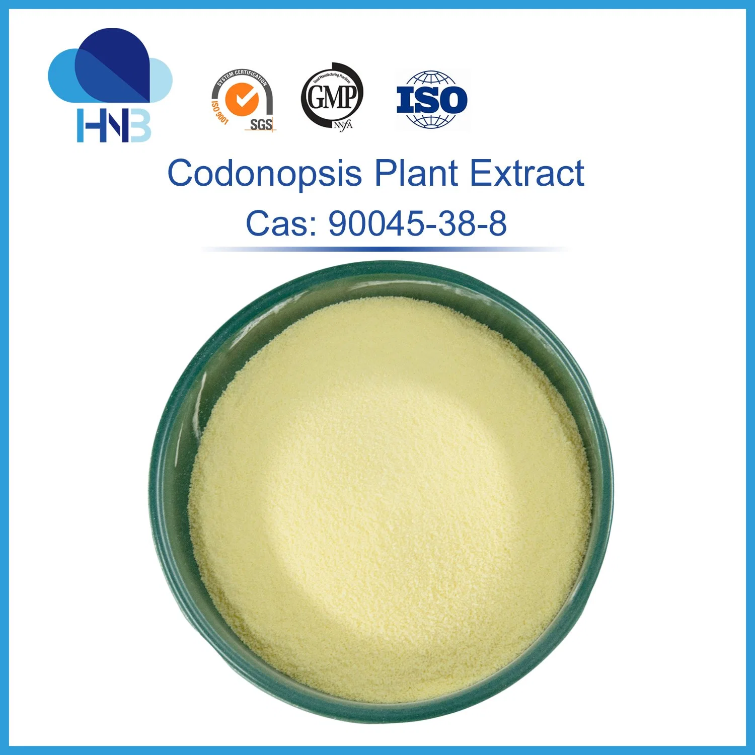 Codonopsis 100% naturel extrait de plante Codonopsis Pilosula Extrait de poudre