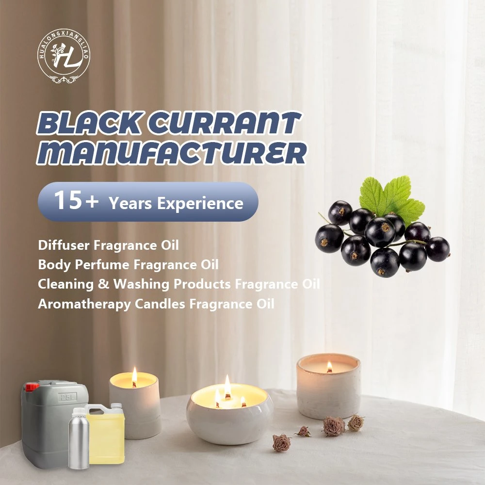 Hl- Manufacturer of Concentrated Black Currant Fragrance Oil, Wholesale/Supplier Blackcurrant Fragrance Oil for Candle Production